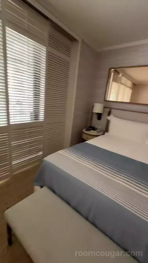 Partial Ocean View King (#834) picture #5