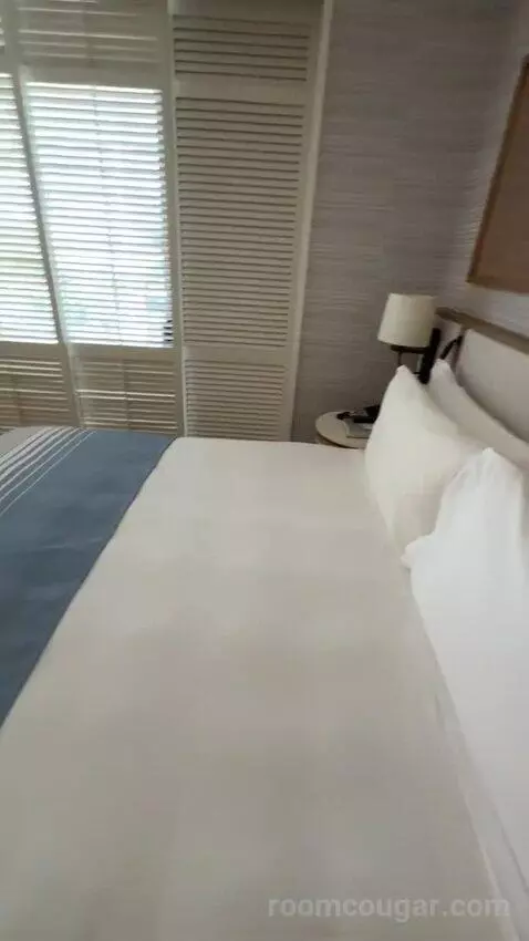 Partial Ocean View King (#834) bed picture #7