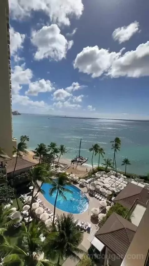 Ocean View King (#1135) view picture #9