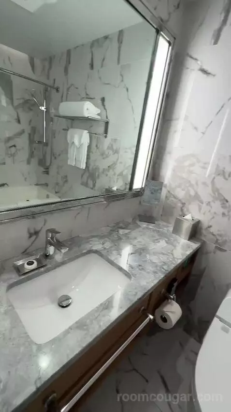 Deluxe Ocean View (With one Kin) bathroom picture #8