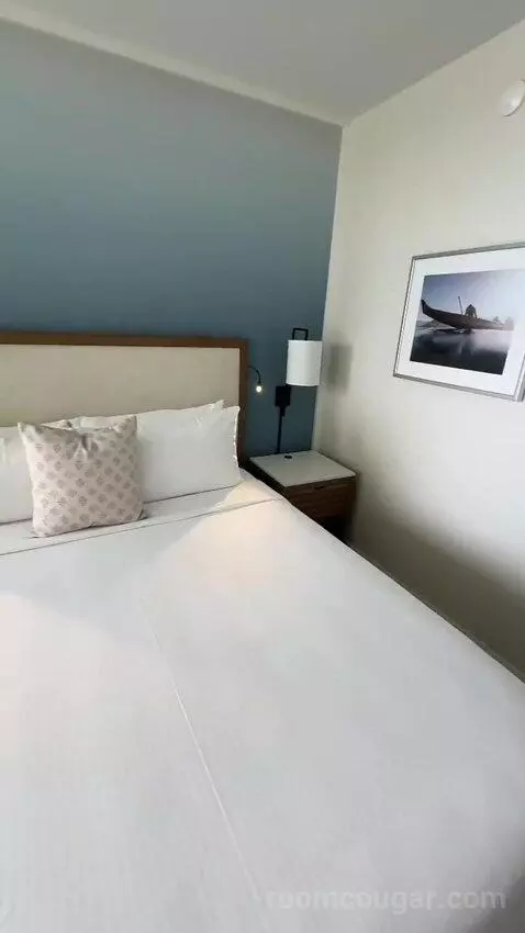 Deluxe Ocean View (With one Kin) bed picture #2