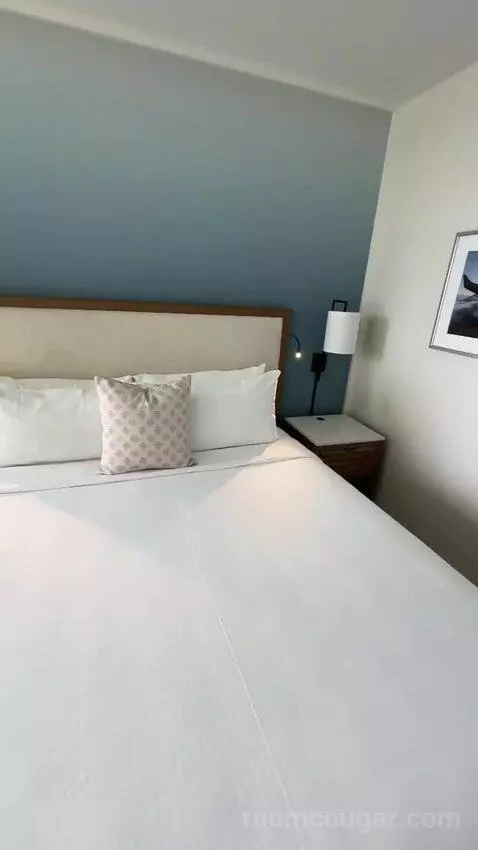 Deluxe Ocean View (With one Kin) bed picture #6