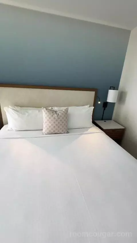 Deluxe Ocean View (With one Kin) bed picture #8