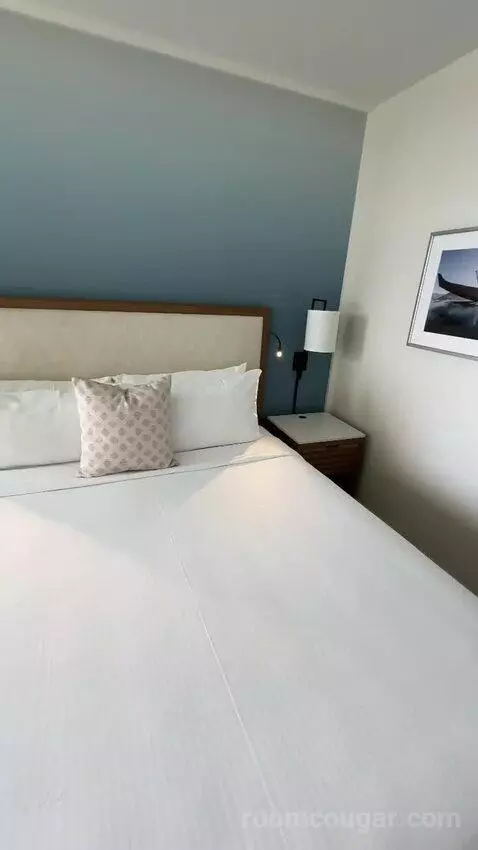 Deluxe Ocean View (With one Kin) picture #10