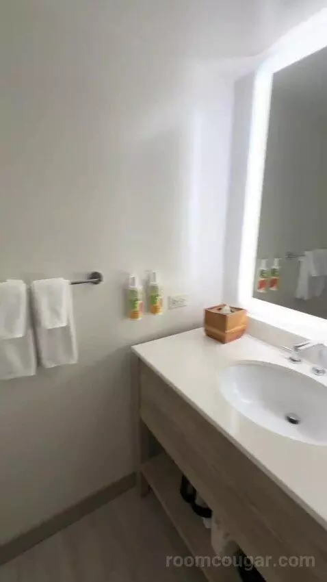 King Room with Ocean View (#1713) bathroom picture #3