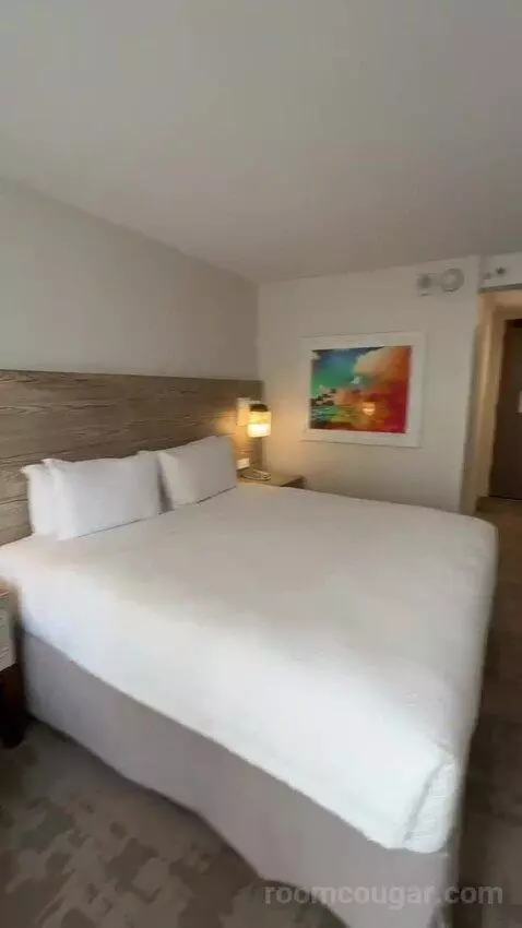 Standard King Room (#301) bed picture #11