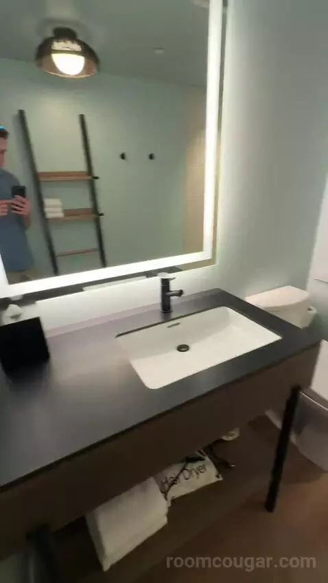 Luxe Two Queens with Sleeper Sofa (#310) bathroom picture #3