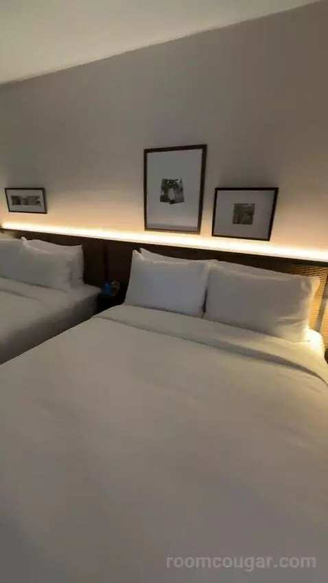 Luxe Two Queens with Sleeper Sofa (#310) bed picture #7