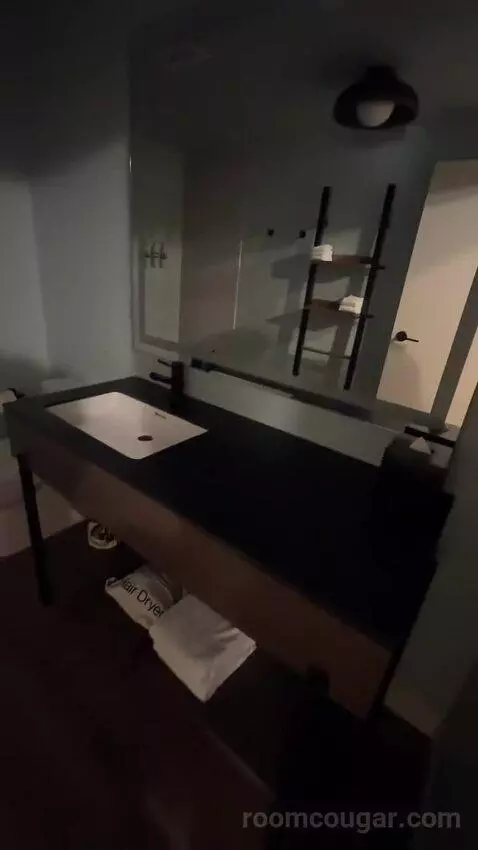 Luxe One King with Sofa (#311) bathroom picture #3