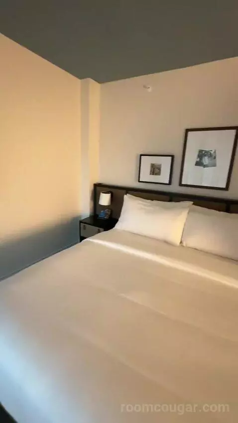 Luxe One King with Sofa (#311) bed picture #5