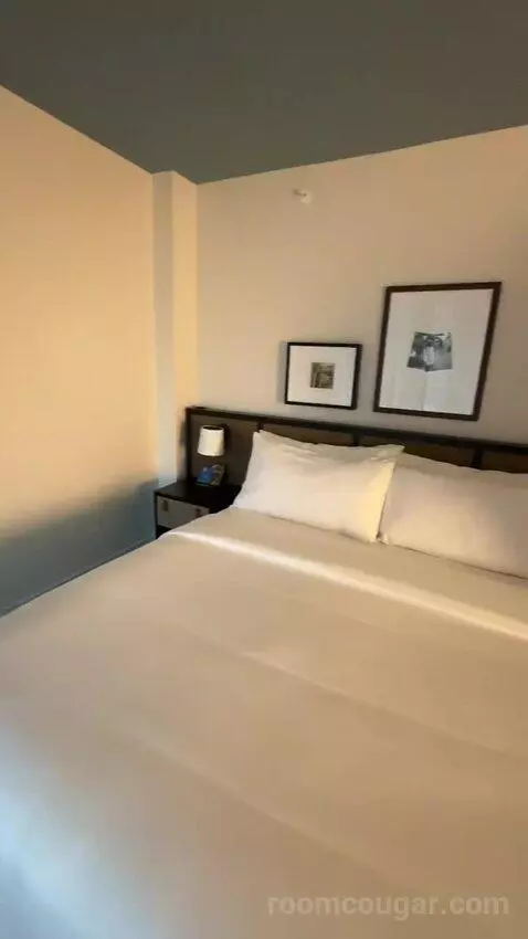Luxe One King with Sofa (#311) bed picture #6