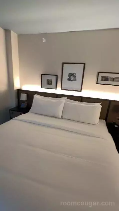 Luxe One King with Sofa (#311) bed picture #10