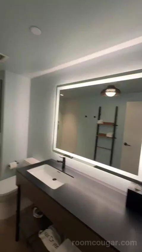 Luxe One King with Sofa (#311) bathroom picture #5
