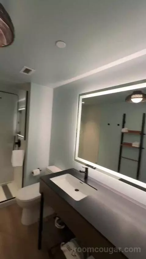 Luxe One King with Sofa (#311) bathroom picture #6