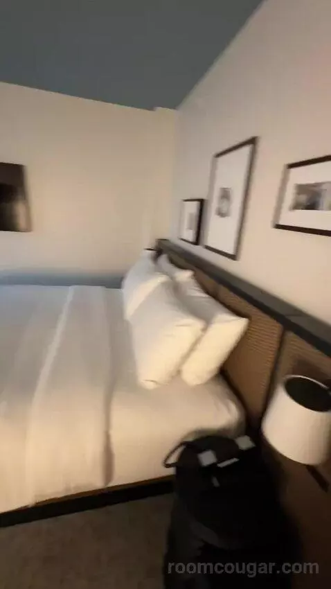 Luxe One King with Sofa (#311) bed picture #3