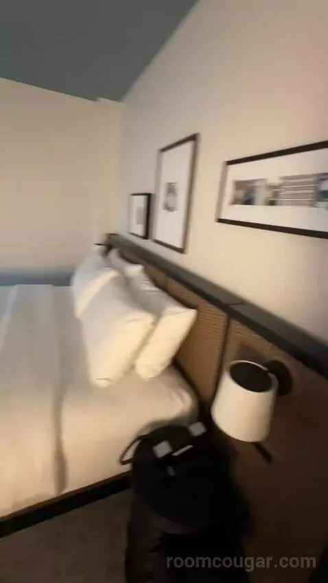 Luxe One King with Sofa (#311) bed picture #4