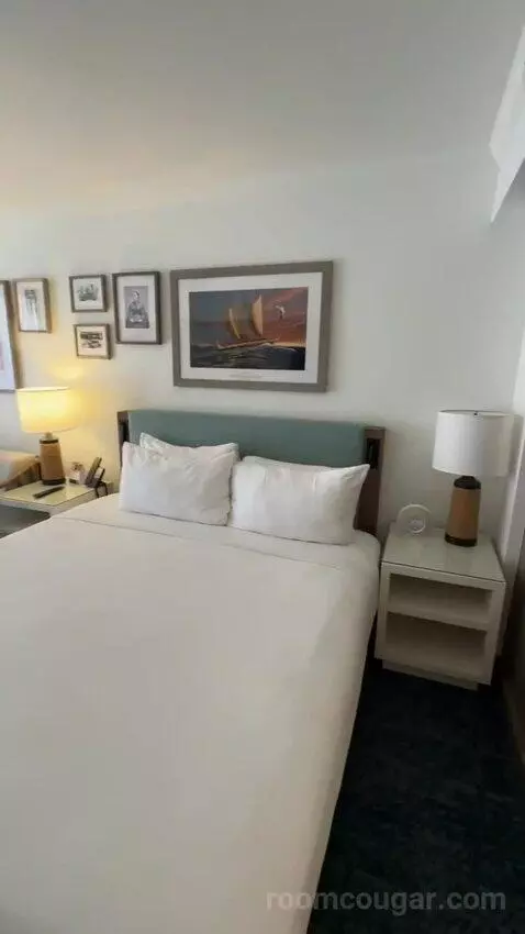 Partial Ocean View 1 King (#837) bed picture #7