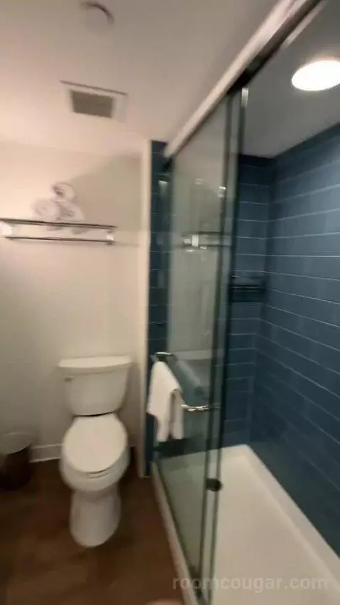 Partial Ocean View 1 King (#837) bathroom picture #2