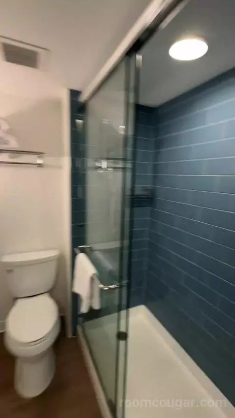 Partial Ocean View 1 King (#837) bathroom picture #3