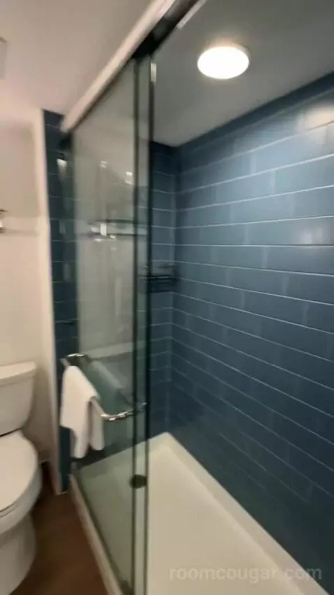 Partial Ocean View 1 King (#837) bathroom picture #4