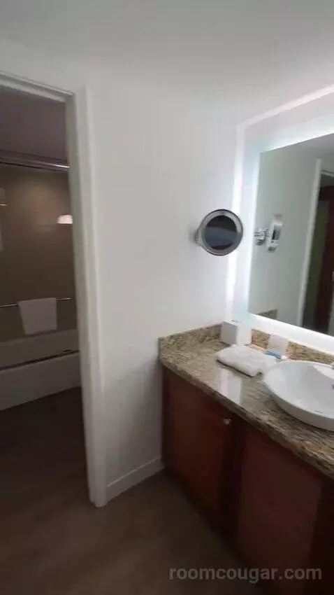 Standard 3 Double Beds (#452) bathroom picture #2