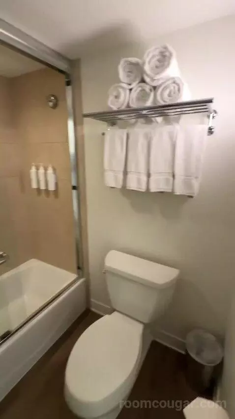 Standard 3 Double Beds (#452) bathroom picture #4
