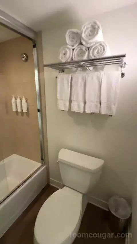 Standard 3 Double Beds (#452) bathroom picture #5