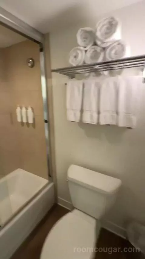 Standard 3 Double Beds (#452) bathroom picture #6