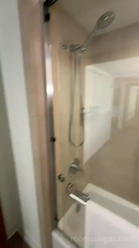 Standard 3 Double Beds (#452) bathroom picture #7