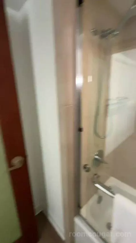 Standard 3 Double Beds (#452) bathroom picture #8