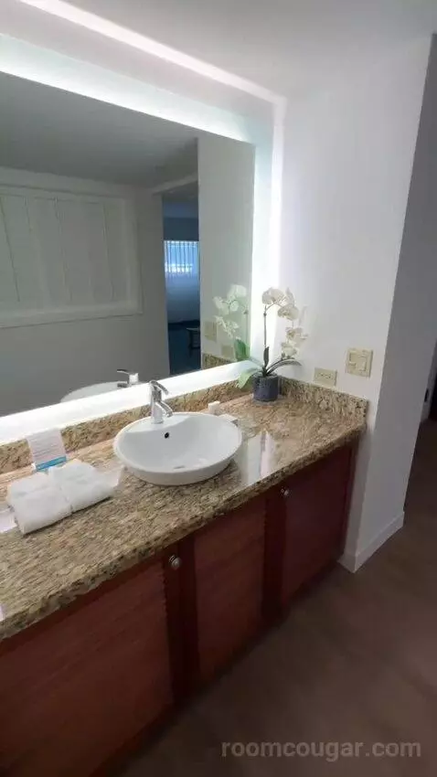 Standard 3 Double Beds (#452) bathroom picture #10