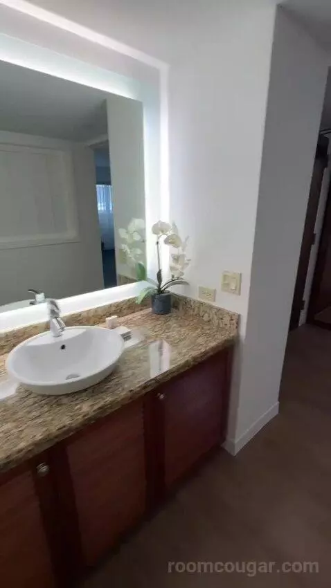 Standard 3 Double Beds (#452) bathroom picture #12
