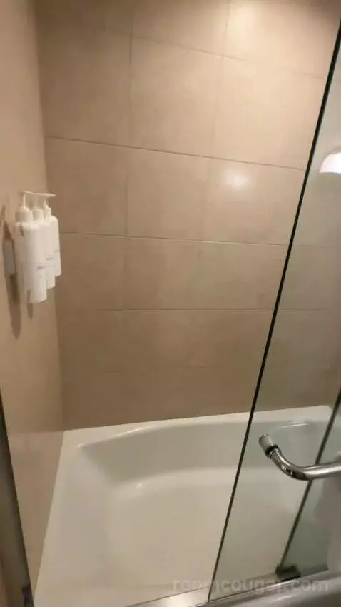 Resort View 2 Queen Beds (#440) bathroom picture #6