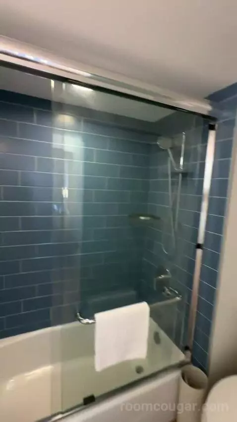 Diamond Head Ocean Front 1 King Bed (#805) bathroom picture #3