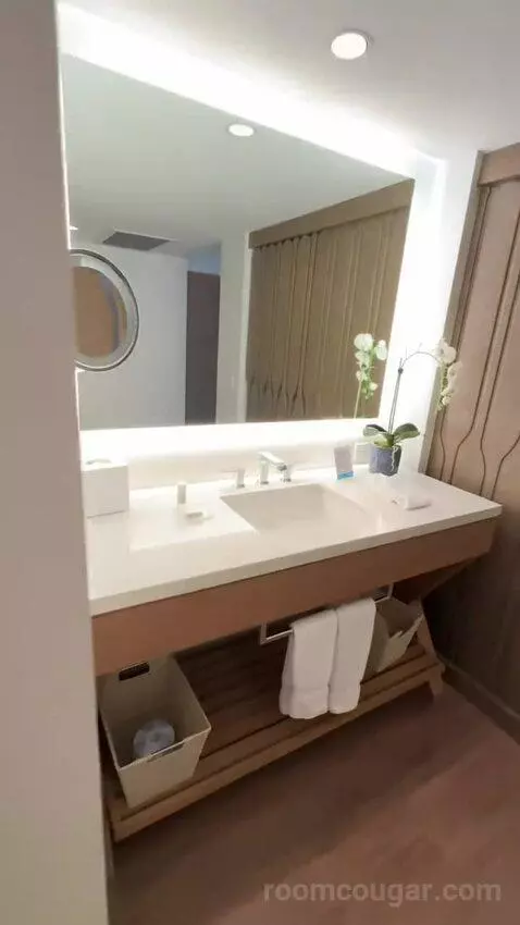 Diamond Head Ocean Front 1 King Bed (#805) bathroom picture #9