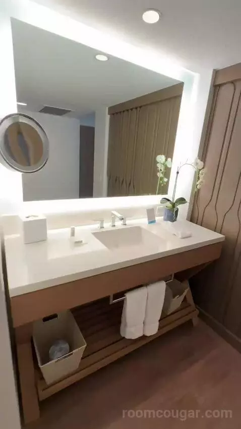 Diamond Head Ocean Front 1 King Bed (#805) bathroom picture #10