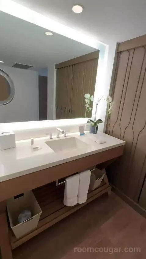 Diamond Head Ocean Front 1 King Bed (#805) bathroom picture #11