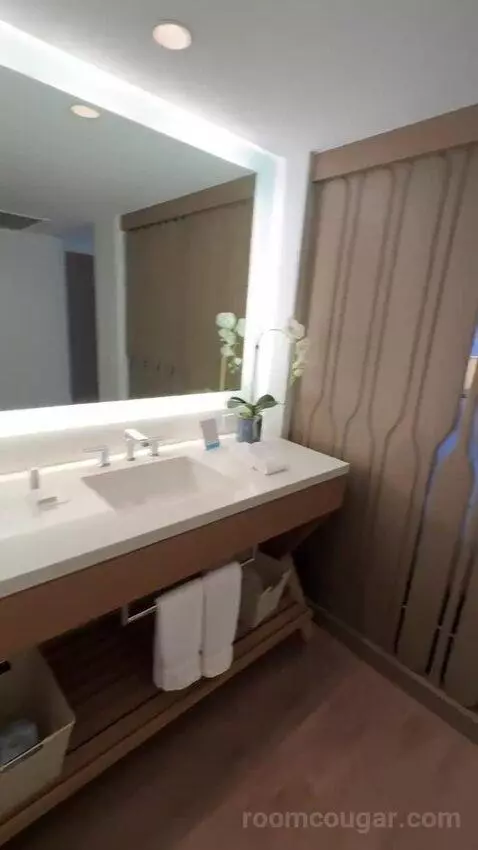 Diamond Head Ocean Front 1 King Bed (#805) bathroom picture #12