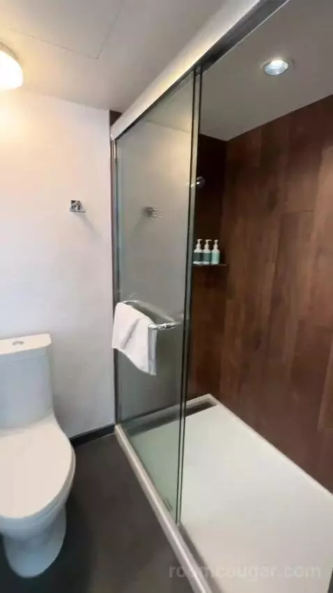 Corner Suite, 1 King Bed, Queen Day Bed, Twin Day Bed, Double Balcony (#1515) bathroom picture #9