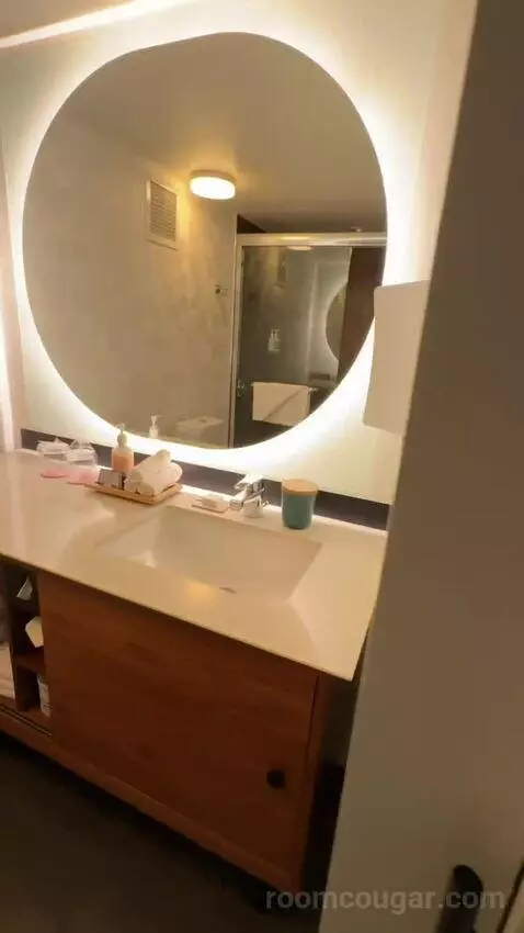 Corner Suite, 1 King Bed, Twin Day Bed, Double Balcony (#1214) bathroom picture #4