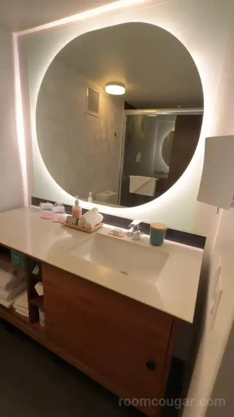 Corner Suite, 1 King Bed, Twin Day Bed, Double Balcony (#1214) bathroom picture #6