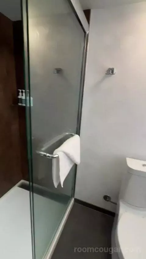 Corner Suite, 1 King Bed, Twin Day Bed, Double Balcony (#1214) bathroom picture #10