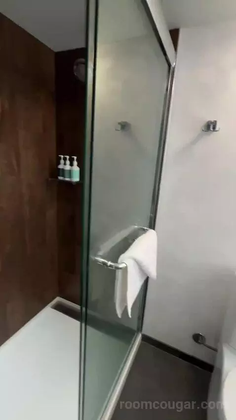 Corner Suite, 1 King Bed, Twin Day Bed, Double Balcony (#1214) bathroom picture #11