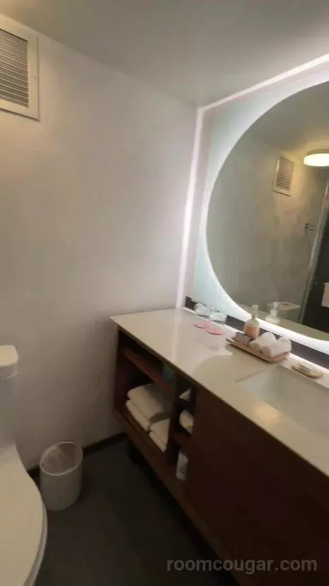 Deluxe Room, 1 King Bed, Twin Day Bed, Balcony (#1516) bathroom picture #1