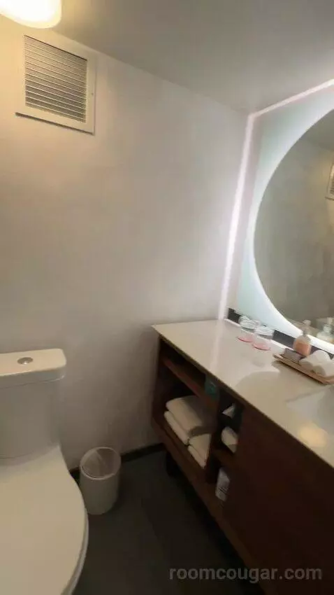 Deluxe Room, 1 King Bed, Twin Day Bed, Balcony (#1516) bathroom picture #2