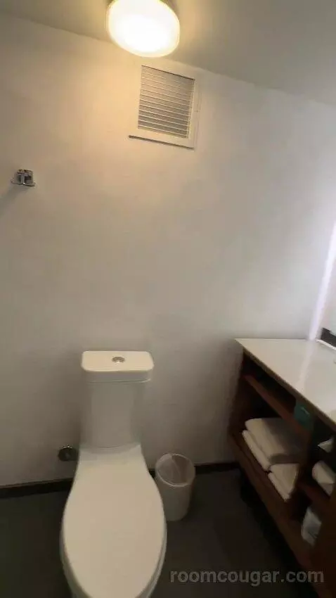 Deluxe Room, 1 King Bed, Twin Day Bed, Balcony (#1516) bathroom picture #4