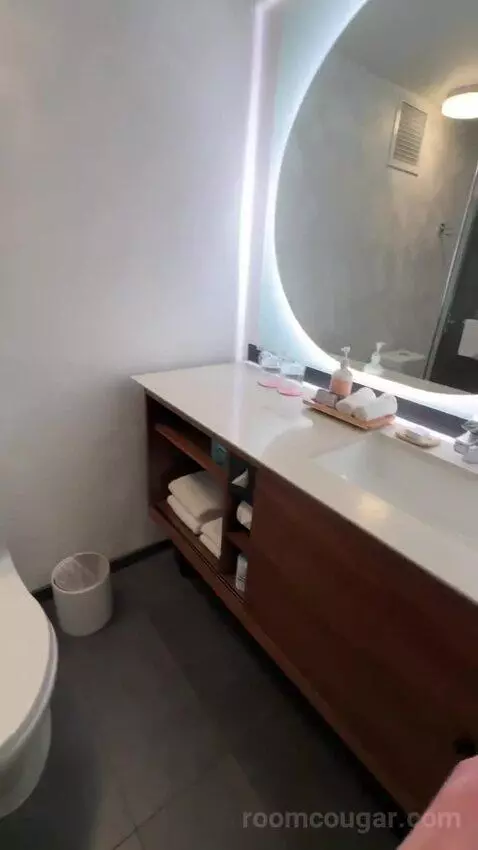 Deluxe Room, 1 King Bed, Twin Day Bed, Balcony (#1516) bathroom picture #12