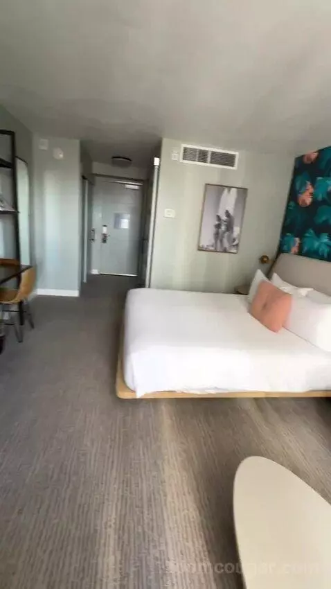 Deluxe Room, 1 King Bed, Twin Day Bed, Balcony (#1516) view picture #5
