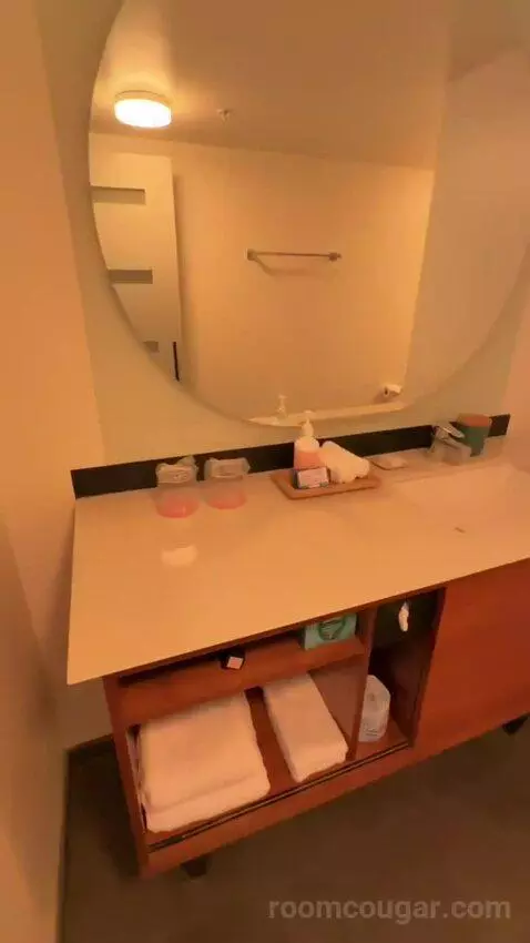 Junior Suite, 1 King Bed, Twin Day Bed, Double Balcony (#1501) bathroom picture #4