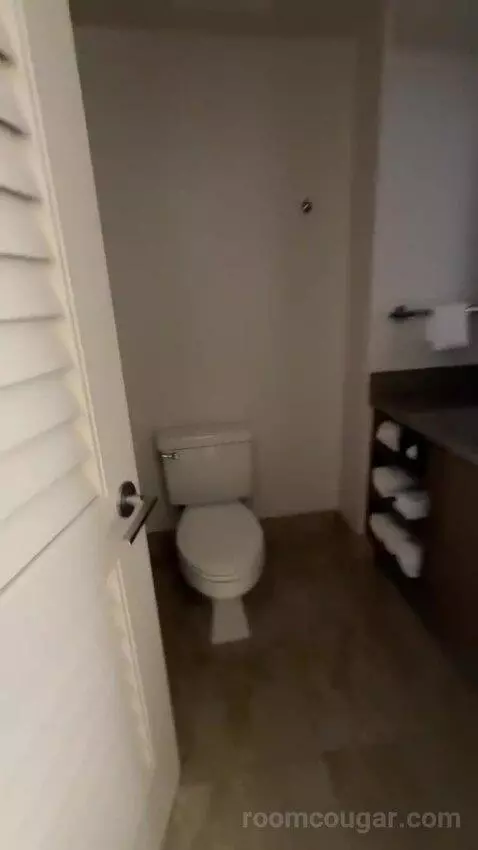 Guest Room, 1 King, Sofa Bed, Ocean View, Balcony (#501) bathroom picture #1